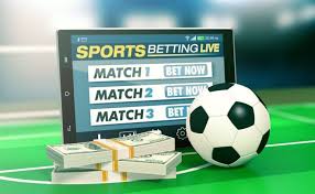 Explore the Features and Benefits of Betwinner